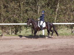 IMG_7809_web